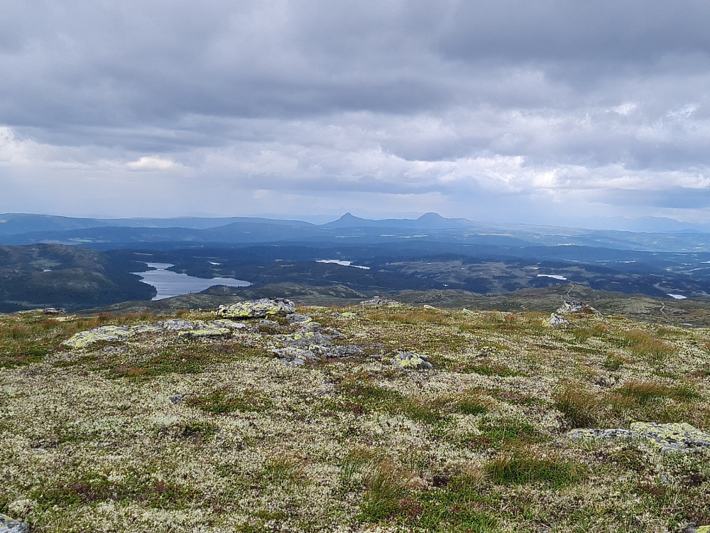 På Hasatjernhøgda sørøst, 1326 moh, mot Mellane