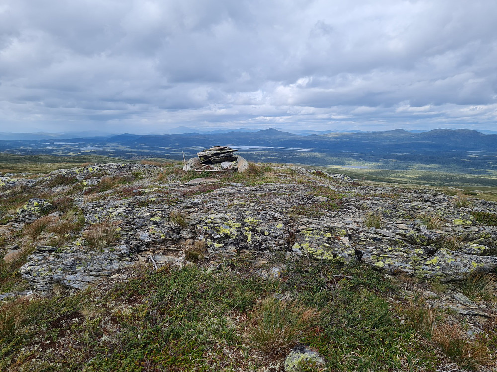 På Hasatjernhøgda vest, 1260 moh