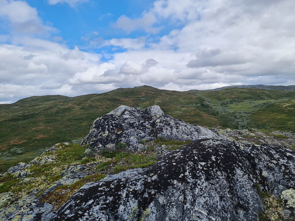 På Fjellbekkhøgda sør, 1124 moh