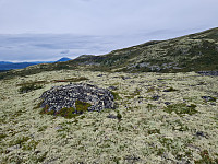 repelo_20250820_68a5cc0f2982b.jpg