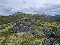 repelo_20250820_68a5cc0fa22c4.jpg