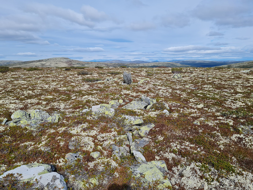 Toppunktet 1095 moh, nord for Akselvola, mot Lyngkampen