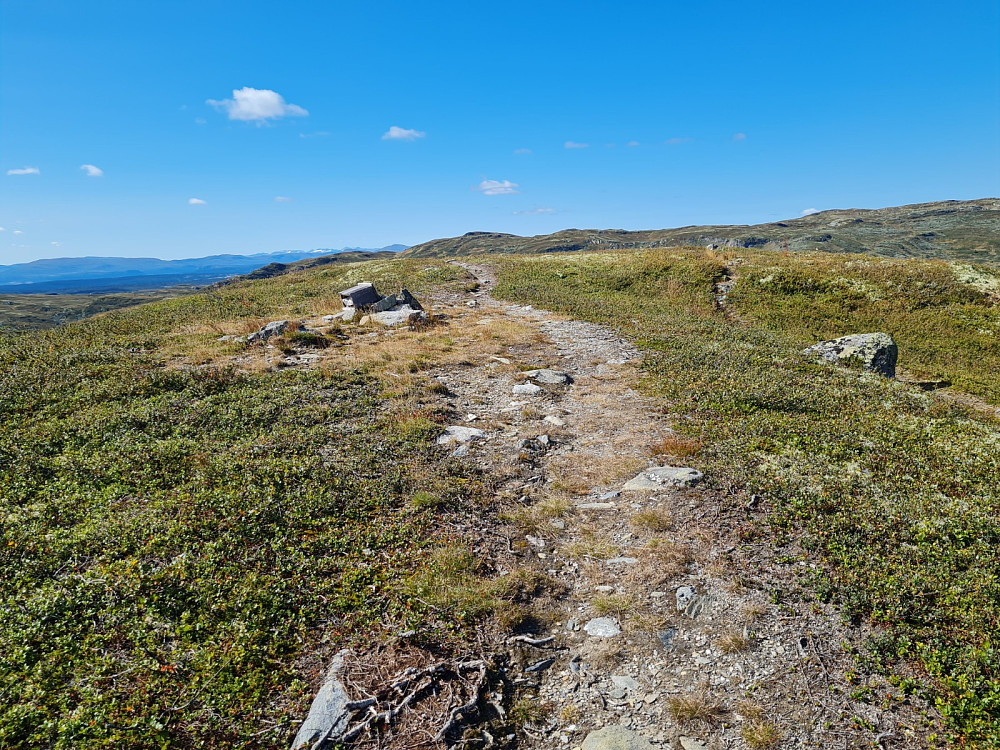 Avlundskampen