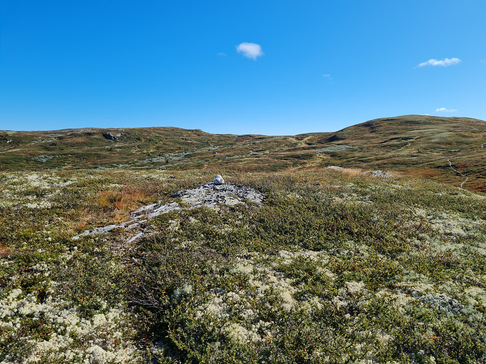 Skarethøgda