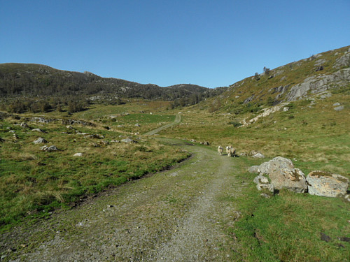 Grusvegen langs Grasdalsvatnet. Slettafjellet og Dybingsknuten i bakgrunnen.