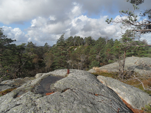 Trigpunkt/ jernbolt på Hafknuten 414, med toppknausen 420 i skogen bak.