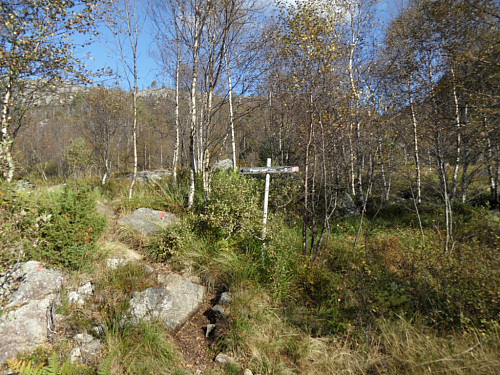 Etter snaut 2 km på grusveg tar man av til venstre på merka sti opp til Faureknuten.