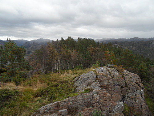 På Gamlestølfjellet. Ser austover.
