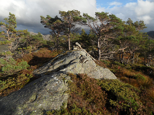 På toppen av Ivesdalsfjellet.