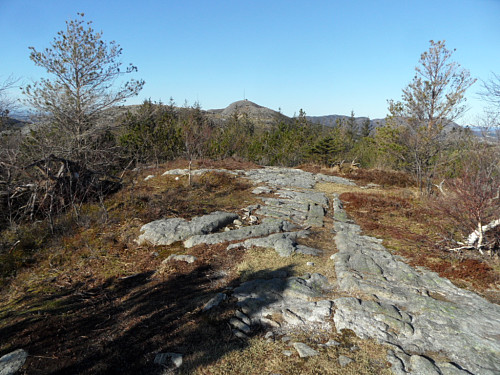 På Steinfjellet med Vedafjellet i bakgrunnen.