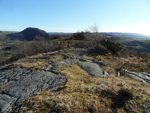 Toppryggen på Bråsteinåsen.