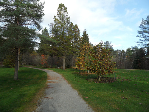 Ein av mange turstier gjennom arboretet.