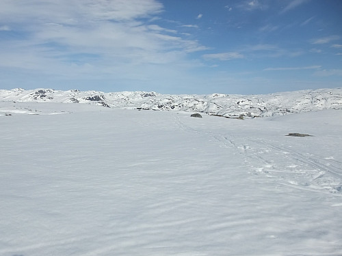 Fleire andre skispor mellom Rupedalshei og Hadvarshei.