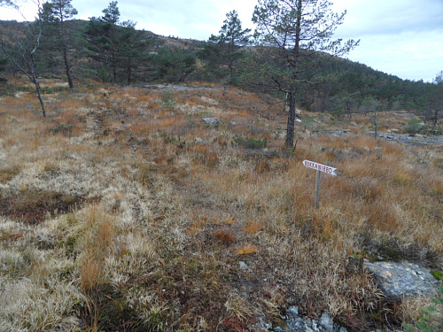 Så på sti til Bukkanibbo.
