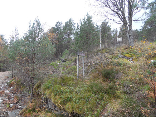 Fulgte sti opp til Trollafjellet.