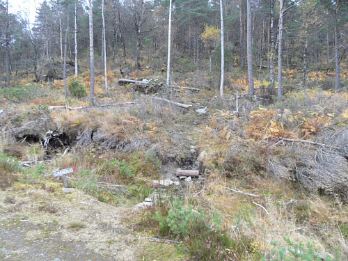 Så på sti gjennom skogen.