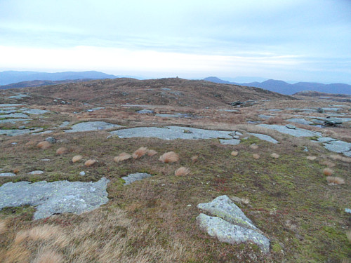 På Staurskorsnibbene mot Steinfjellet bak.