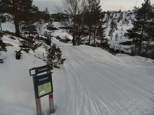 Skilta tursti til Vardefjell frå skogsvegen.