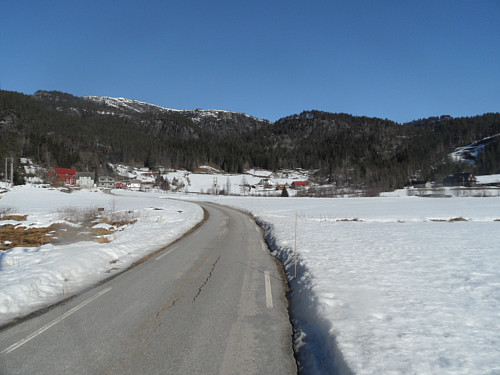 Gjekk forbi Ovedal og vidare på skogsveg gjennom skogen i bakgrunnen.