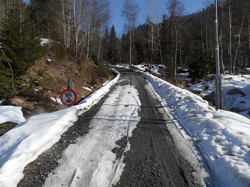 Anleggsvegen gjennom skogen opp til Nedre Førevatn.