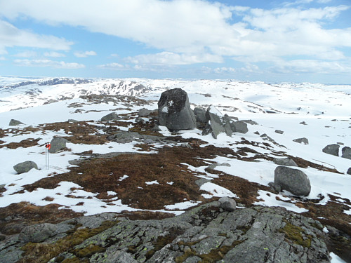 På Litla Kaldavassheia med indre deler av Bjerkreimsheiane i bakgrunnen.
