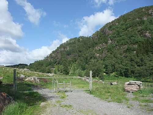 Traktorveg over beite. Kjertåsen t.h.