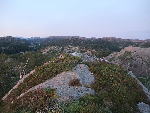 På Fløyen med Kjeråsen i bakgrunnen med skog rundt.