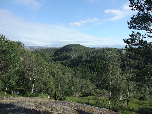 På vei ned sørsida av Krossheia mot Ørkåsen.