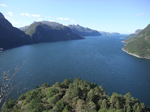 Et stykke opp frå fjorden ved Mulatreet med utsikt utover Høgsfjorden.
