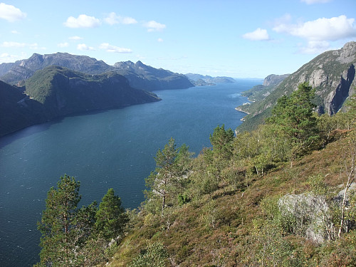 Utover Høgsfjorden. Den spisse toppen er Selvigstakken 597. Bynuten 671 lenger t.v.