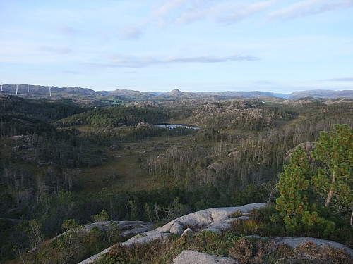 På Bukkaknuden mot Solbjørgnipa 466 i bakgrunnen.