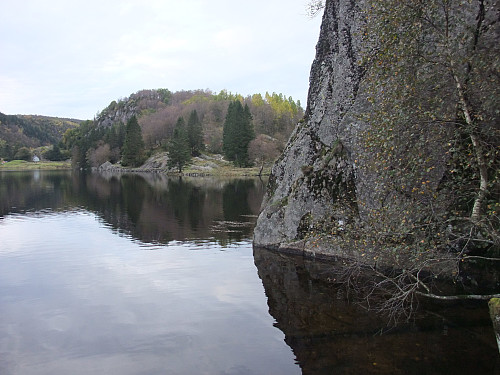 Vassa i ca 30 cm vatn på steinheller rundt denne begnabben. Elgjestraum bak t.v.