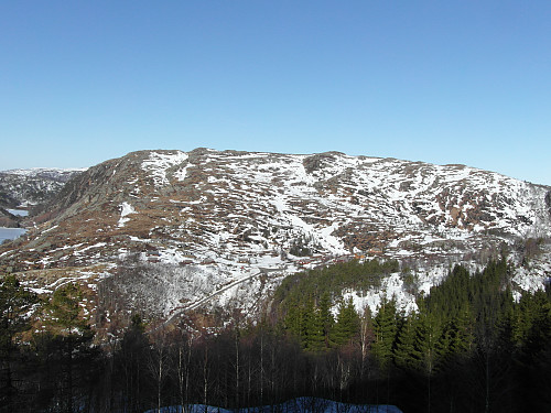 På veg mot Kjedleknuten med utsikt nordvestover mot Hestheia 656.