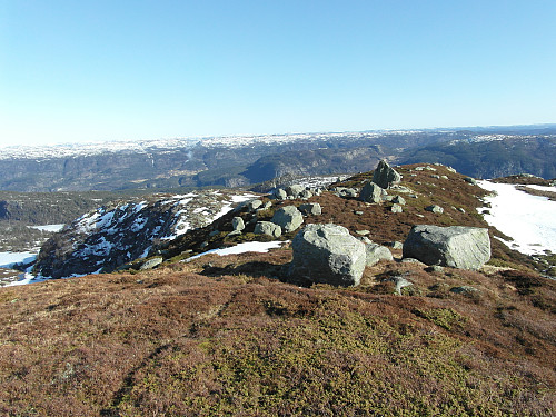Toppområdet på Tomlongsheia.