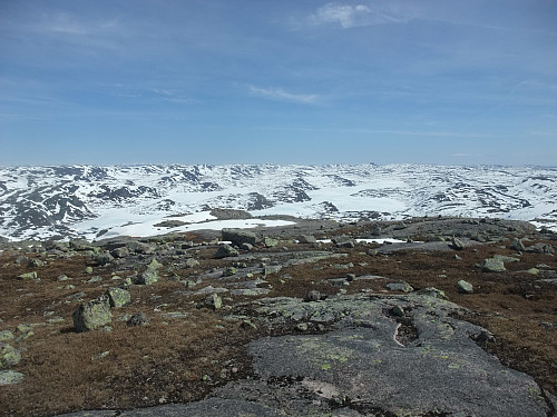 Austover mot Botnsvatnet 1020 og Svarvarnuten 1377  langst bak.