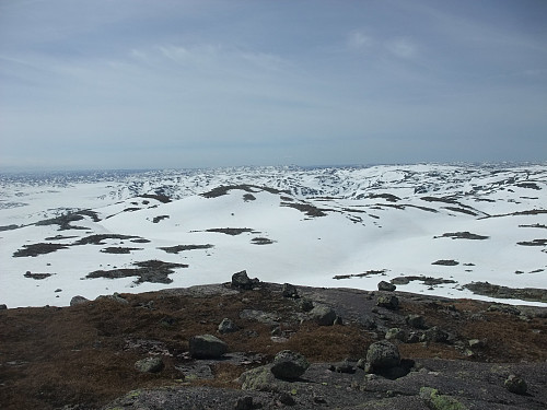 SSV mot Hilleknuten 1209i bakgrunnen. Rosskreppfjorden t.v.