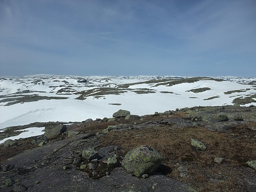 Vestover mot Lyse- og Ryfylkeheiane. Lysekammen 1304 i bakgrunnen langt t.v.