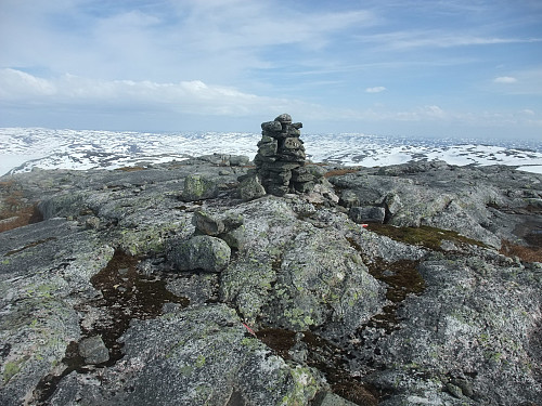 Aust-søraust mot Setesdalsheiane.