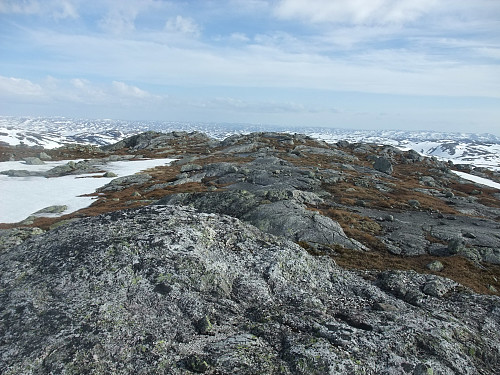 Topplatået på den navnlause 1336-toppen.