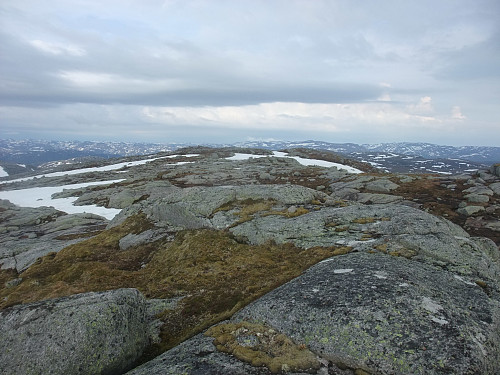 På Vassfedlheia sett austover.