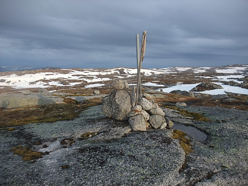 Trigpunktet 1046 Halvfarheii nord med Halvfarheii 1055 rett bak Vassfedlheii t.h.