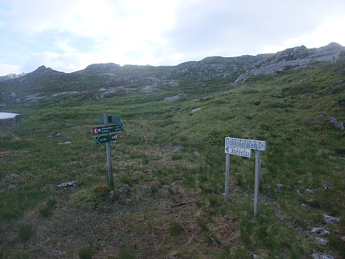 Stidele i nordenden av Skjertjørna.