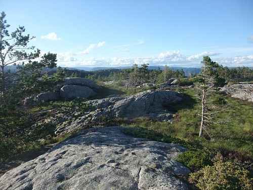 På Orrehei mot Storastø i bakgrunnen.