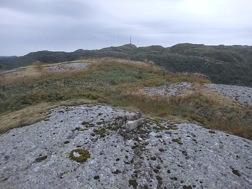 På Tjødnefjell mot Voreknuden i bakrunnen.