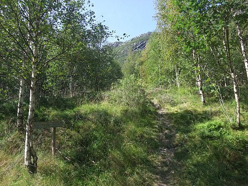 Første del av stien opp frå Hunnedalsvegen.