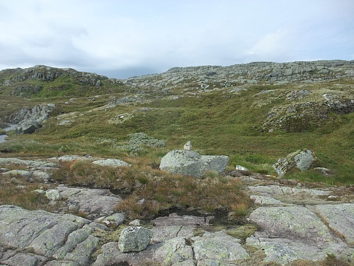 Etter ca 500 hm bratt oppstigning flater det ut.
