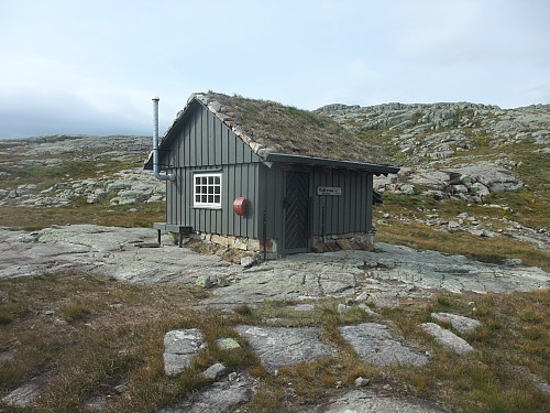 Vallresbu som har fått ny farge i sommer.