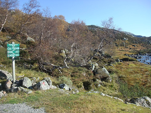 T-sti frå Nilsebuvegen i Kleggjadalen.