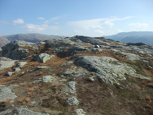Austover mot toppen på 840 moh.