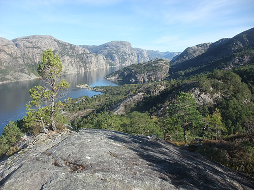 På Syngknuten mot Neverdalsfjellet/ Preikestolen og Ytre Dørvikneset foran t.h.